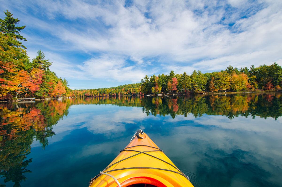 Kayak/Canoe/SUP