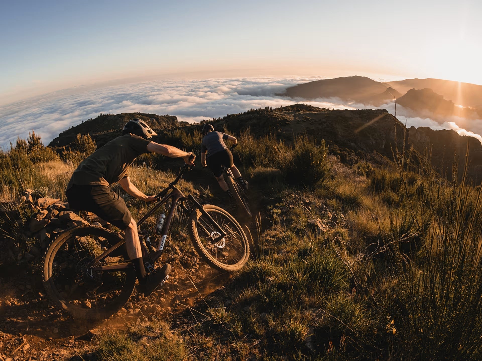 Bikes