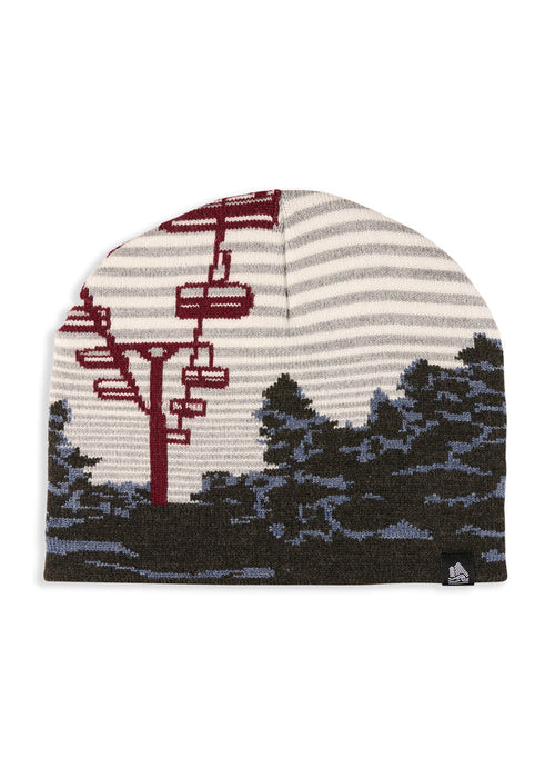 4T2D LIFT LINE SKULLY HAT